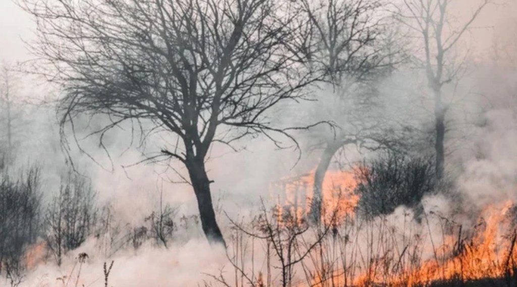 Alerta máxima por la posibilidad de fuegos descontrolados en diferentes regiones del&nbsp;país