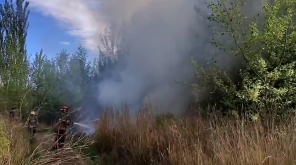 Alerta en Neuquén : declararon la emergencia agropecuaria debido a la falta de&nbsp;precipitaciones