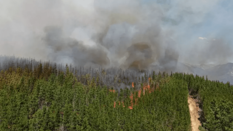 Incendio forestal en Chubut destruyó diez viviendas y obligó a evacuar a vecinos y&nbsp;turistas