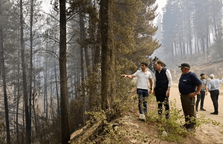 Chubut ofrece una recompensa de $50 millones para identificar a los responsables de los incendios&nbsp;forestales