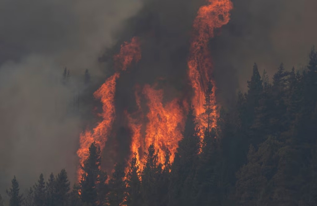 El fuego avanza sin control en los bosques patagónicos y obliga al retiro preventivo de&nbsp;vecinos