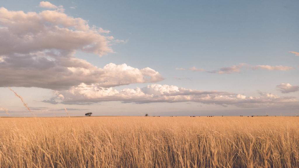Setenta y siete años de políticas adversas para el&nbsp;agro