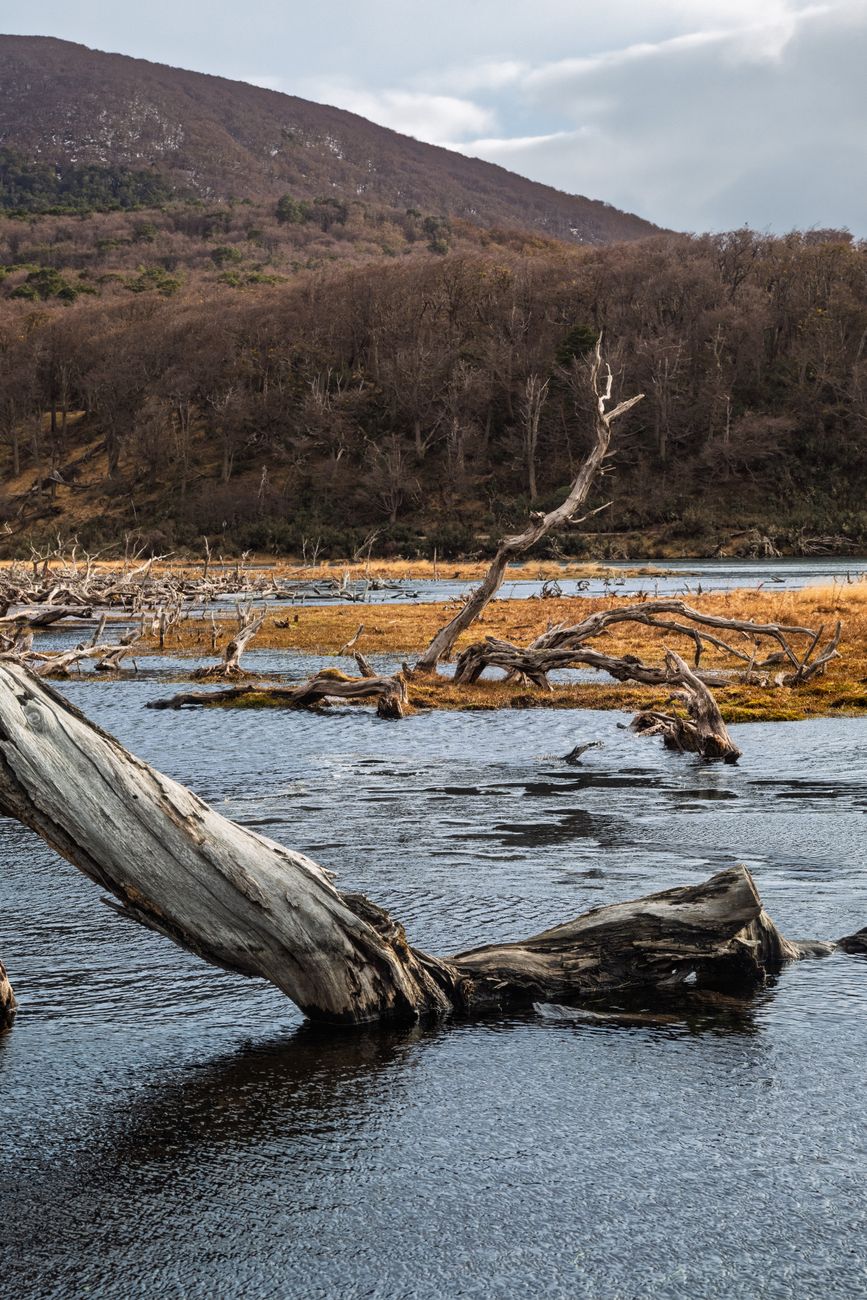 Atlántico Sur: impulsan rol estratégico de Tierra del Fuego